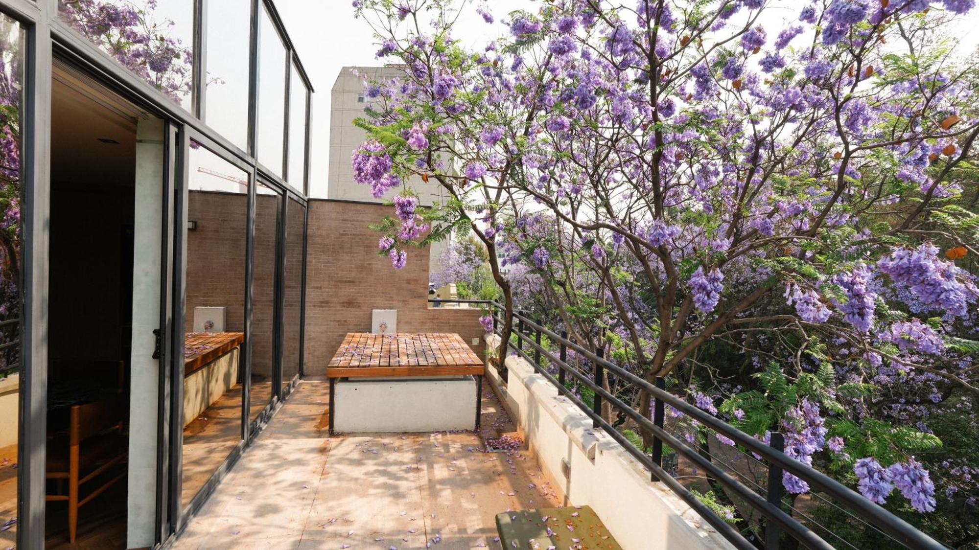 Rodona Hotel Mexico by Eksteriør bilde