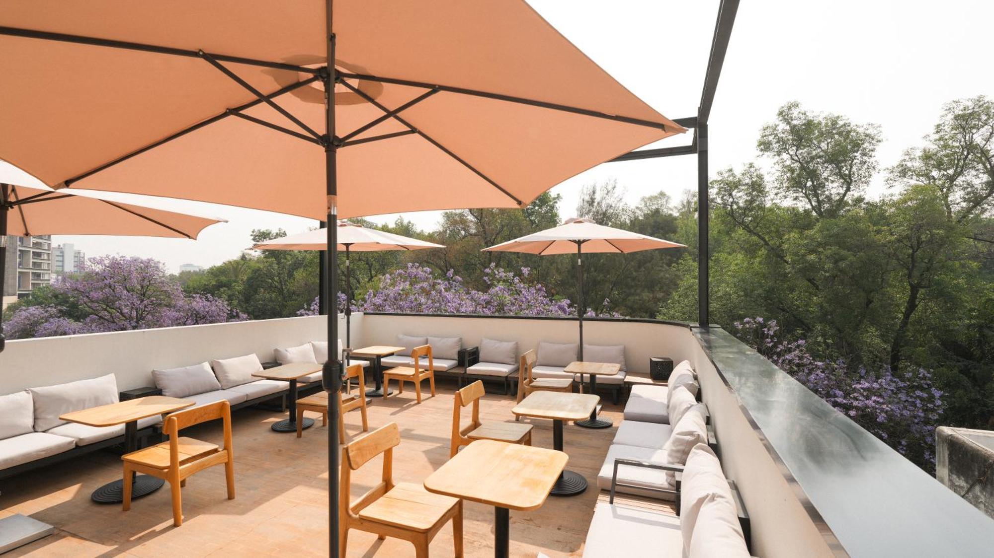 Rodona Hotel Mexico by Eksteriør bilde